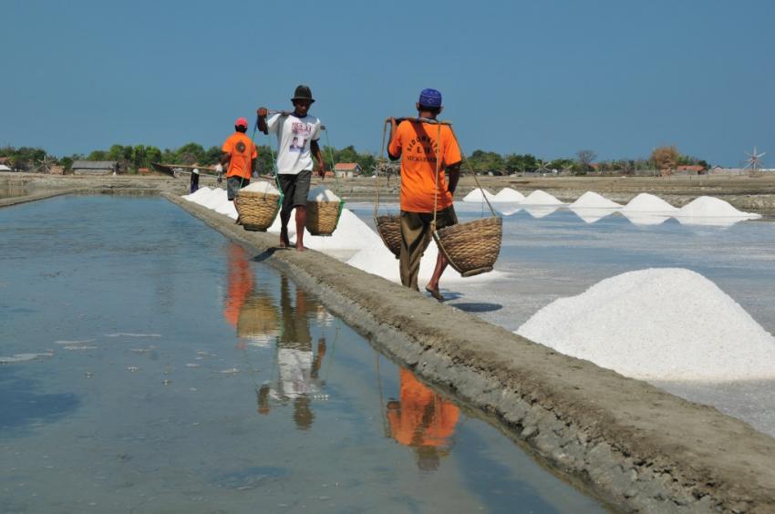 40Petani Garam Madura-kkp.jpg